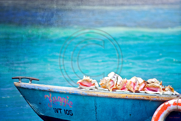 Conch on Bow of Fishing Boats.  jamaica