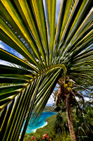 Cinnamon Bay through coconut palm frond