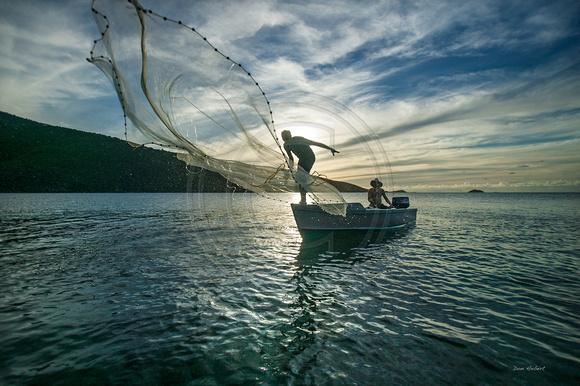 Fisherman tossing net.  St Thomas, USVI